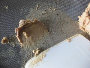IMG_9561