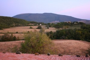 IMG_0031