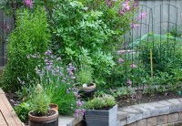 1a Spring Garden zone 3 2013