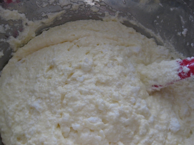 August 15 to 20 2008 Garden Pizza Sorbet Food 033