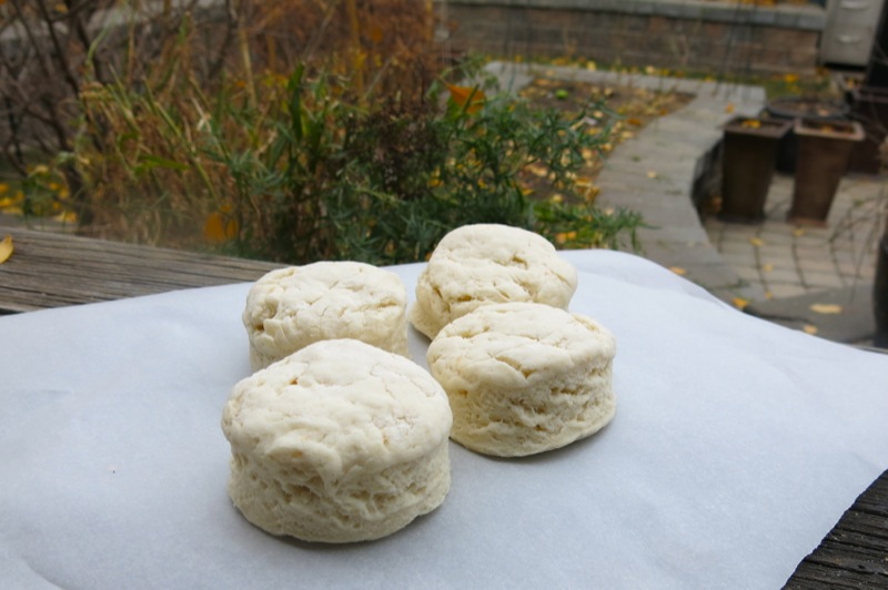 Traditional Old Fashioned Buttermilk Biscuits or Baking Powder Tea Biscuits