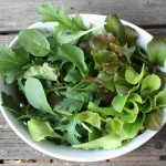 Prairie Spring Salad Dressing