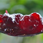 Homemade Cranberry Sauce