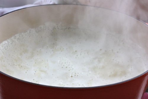 What is the boiling point of milk?