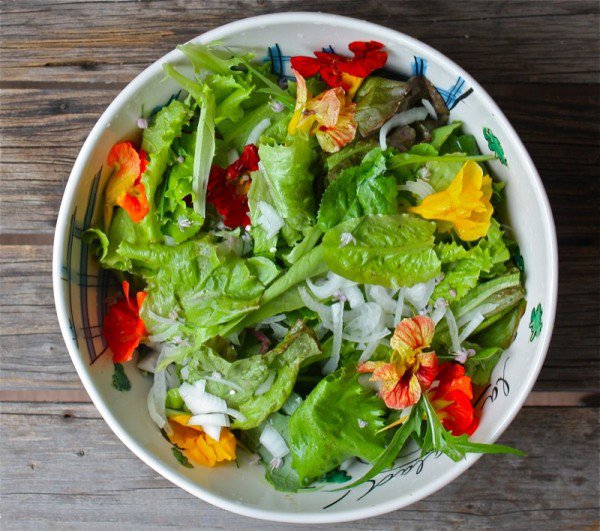 Local Foods Seasonal Harvest Salad Summer Salad with Preserved Chive Flower Vinaigrette A Local Foods Seasonal Harvest Salad Summer Salad with Preserved Chive Flower Vinaigrette A