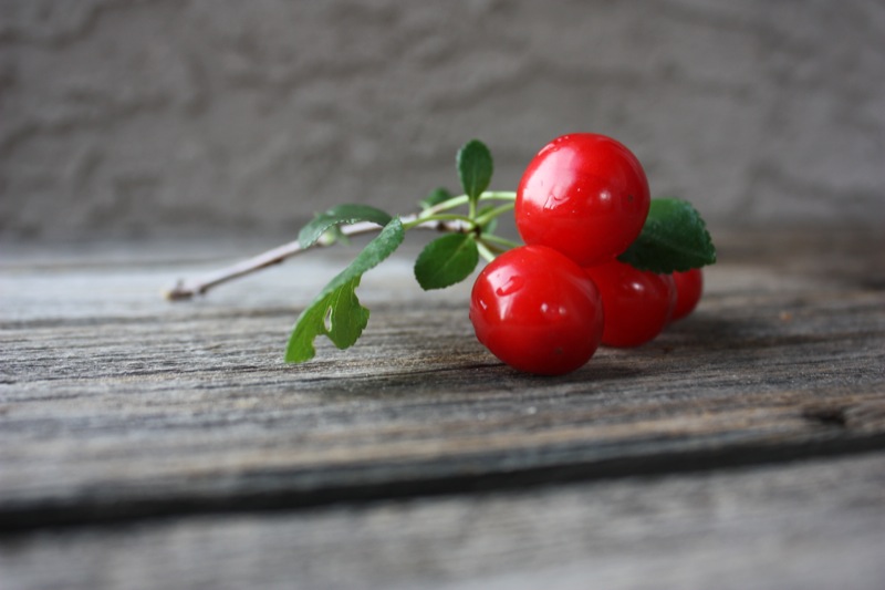 Sour Cherry Pie Filling