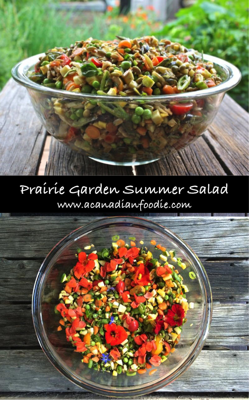 Prairie Garden Summer Salad: Celebration of Mid-Summer Harvest! Each garden vegetable is featured! This symphony of summer pops with blackcurrant dressing.