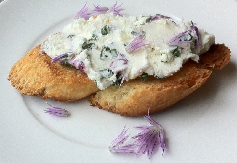 Homemade chevre with chive blossoms