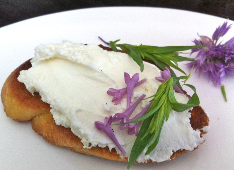 Herb Bouquet with Homemade Ricotta