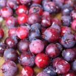 The Canadian Food Experience Project: The Saskatoon Berry