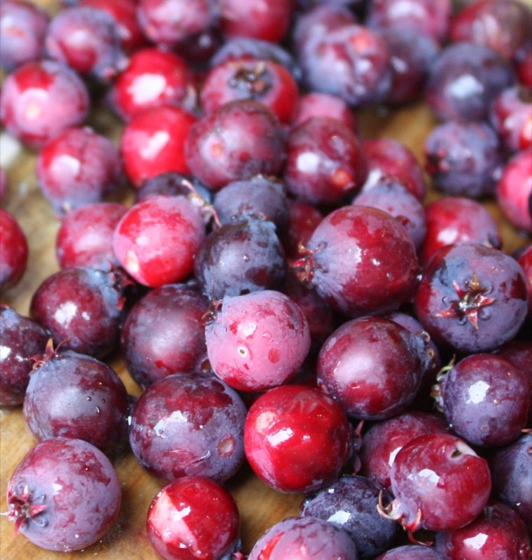 The Canadian Food Experience Project: The Saskatoon Berry