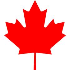 maple leaf