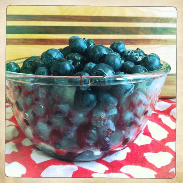 Megan big majic pot blueberries