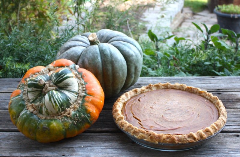 A Canadian Foodie Pumpkin Pie 1