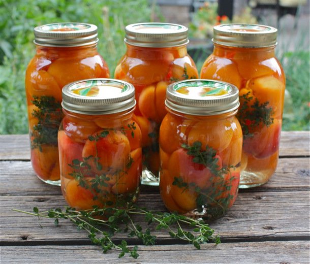 Canned Apricots A Canadian Foodie