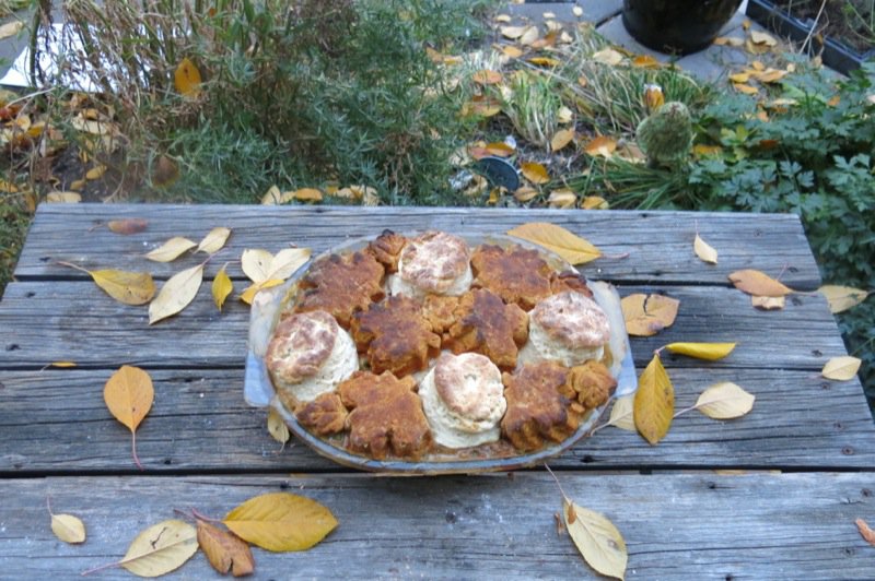 Canadian Prairie Chicken Stew