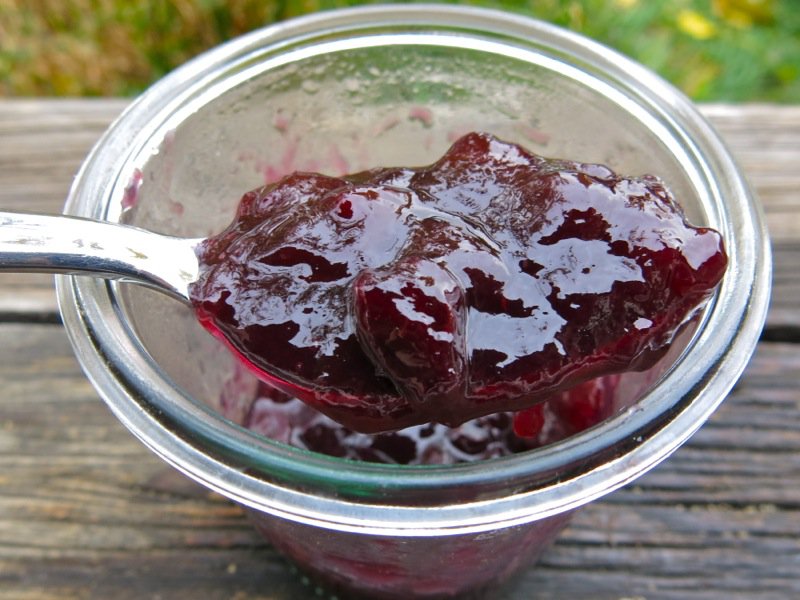 Concord Grape Jam