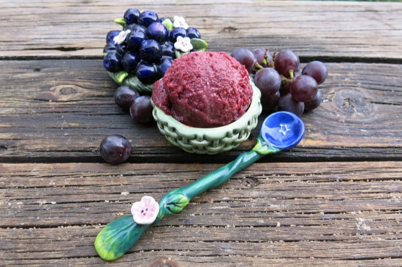 Concord Grape Sorbet