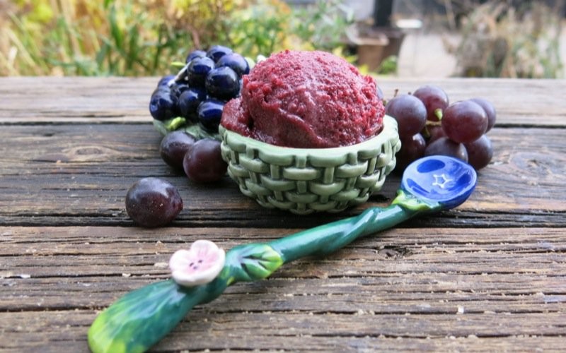 Concord Grape Sorbet