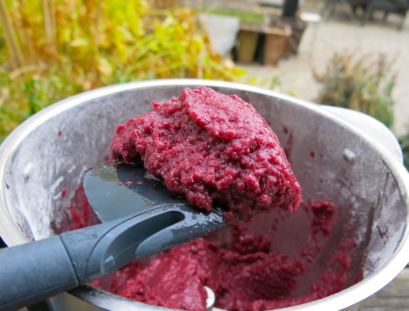 Concord Grape Sorbet