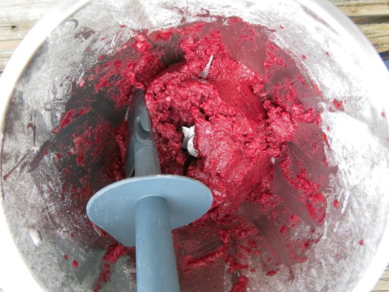 Concord Grape Sorbet