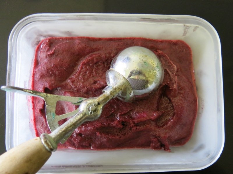 Concord Grape Sorbet