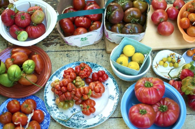 Heirloom-Tomatoes-1024x680