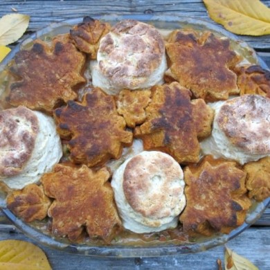 Canadian Prairie Chicken Stew with Yam Biscuits