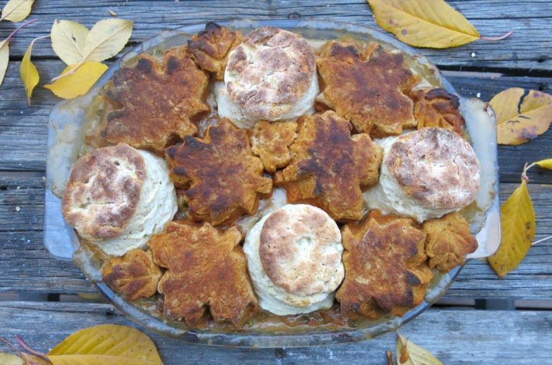 Canadian Prairie Chicken Stew with Yam Biscuits