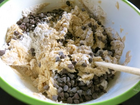 The Ultimate Chocolate Chip Cookie