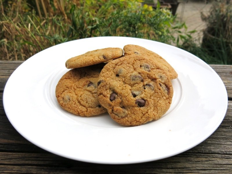 The Ultimate Chocolate Chip Cookie