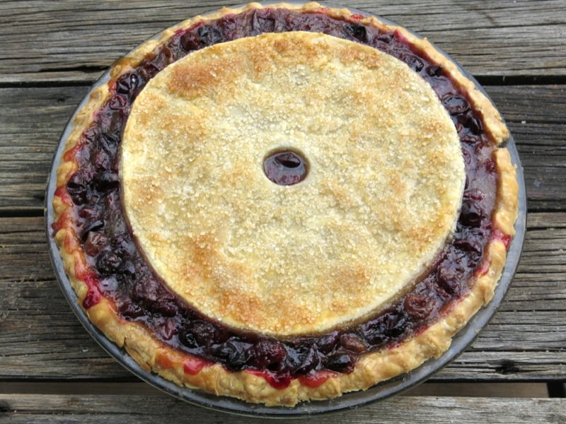 Canadian Classic Concord Grape Pie