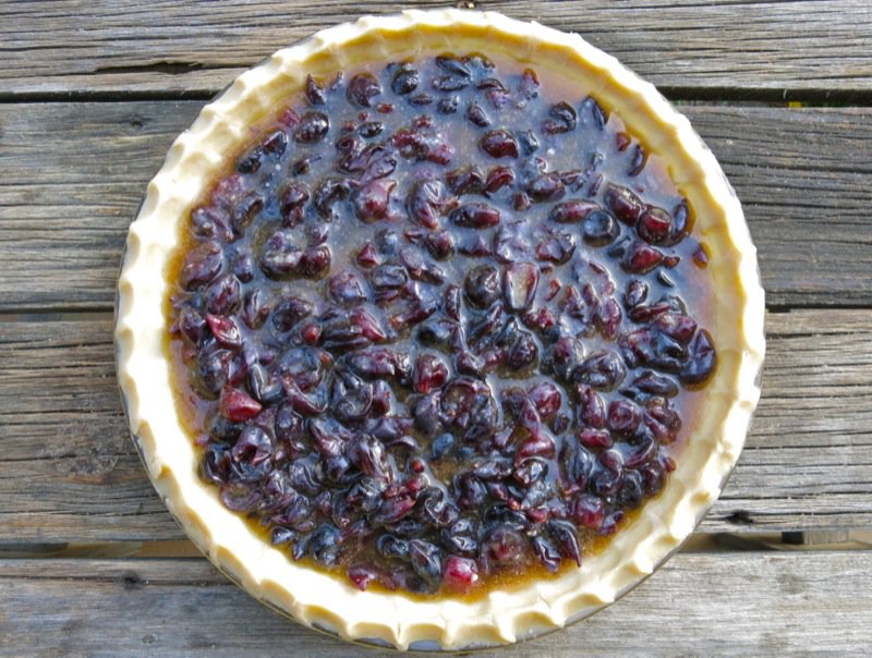 Canadian Classic Concord Grape Pie