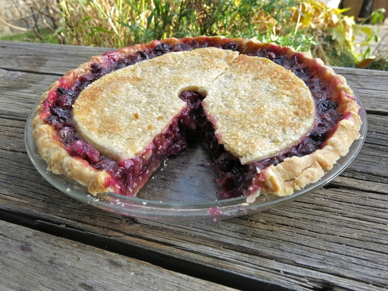 Canadian Classic Concord Grape Pie