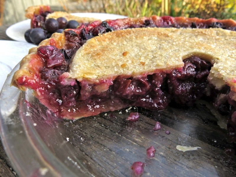 Canadian Classic Concord Grape Pie