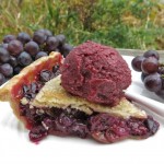 Canadian Classic Concord Grape Pie