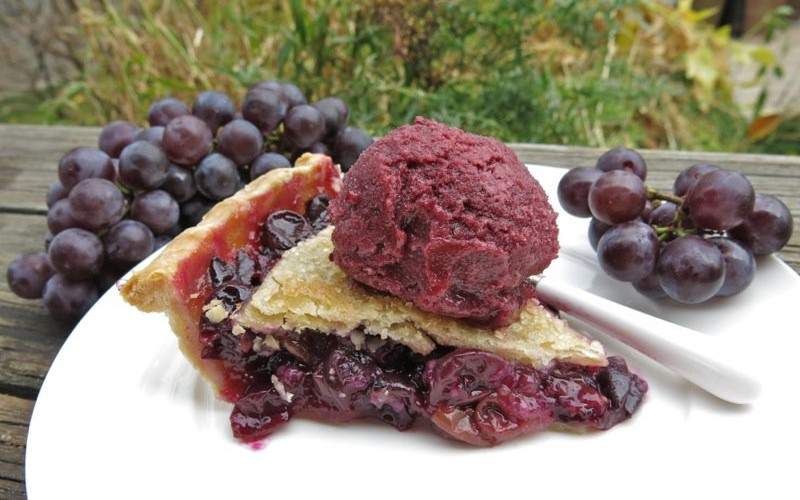 Canadian Classic Concord Grape Pie