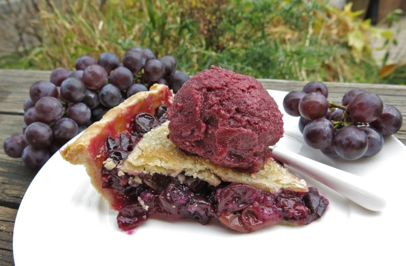 Canadian Classic Concord Grape Pie