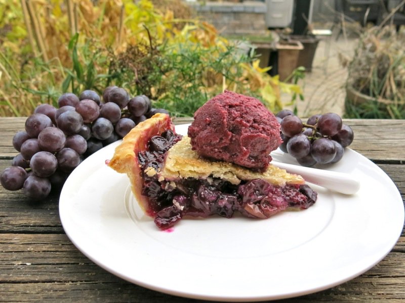 Canadian Classic Concord Grape Pie