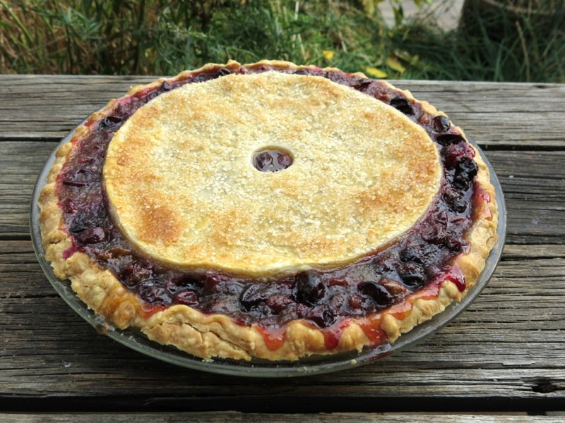 Canadian Classic Concord Grape Pie