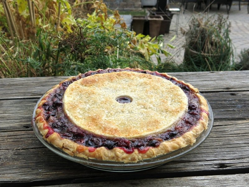 Canadian Classic Concord Grape Pie
