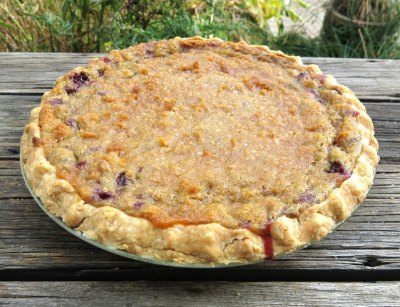 Concord Grape Pie with Crumble Topping