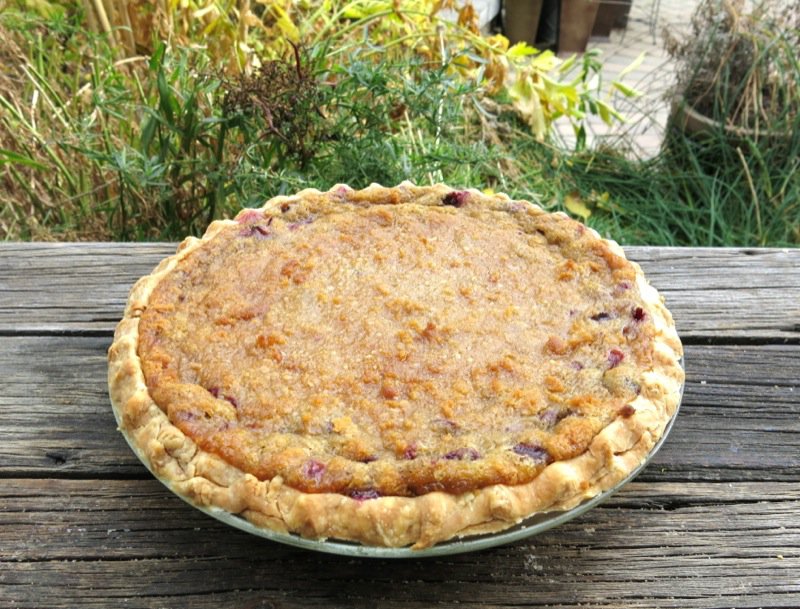 Concord Grape Pie with Crumble Topping