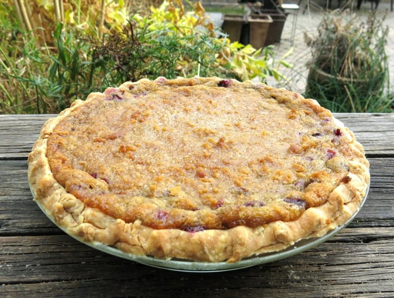 Concord Grape Pie with Crumble Topping