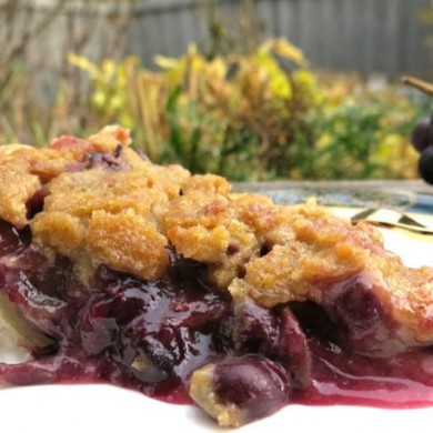 Concord Grape Pie with Crumble Topping