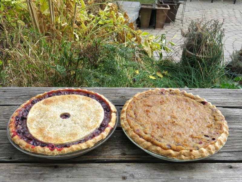 Concord Grape Pie with Crumble Topping