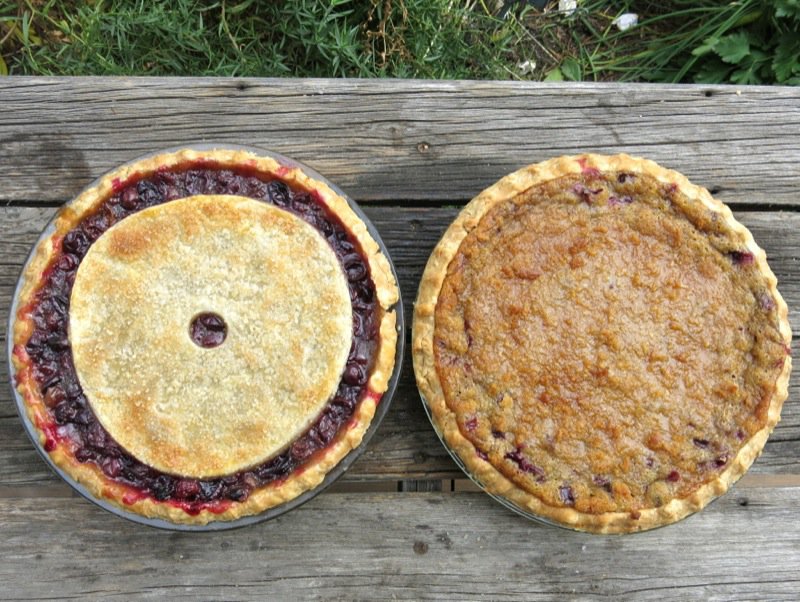 Classic Canadian Concord Grape Pie