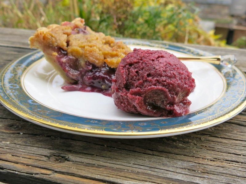 Concord Grape Pie with Crumble Topping