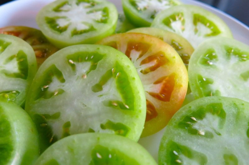 The Best Ever Fried Green Tomatoes