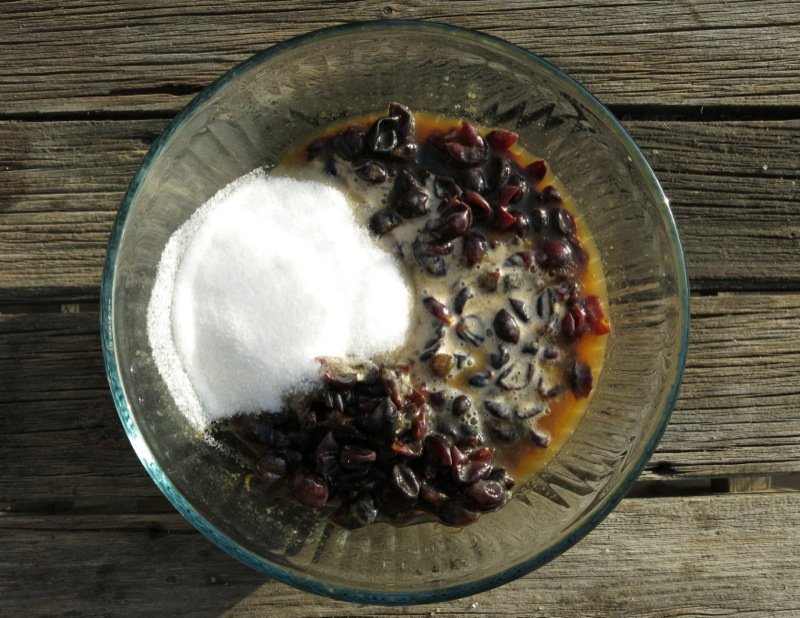 Concord Grape Pie with Crumble Topping